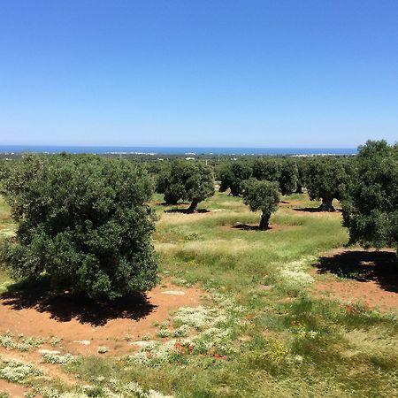 Masseria Capece เปซเซ ดิ เกรโก ภายนอก รูปภาพ