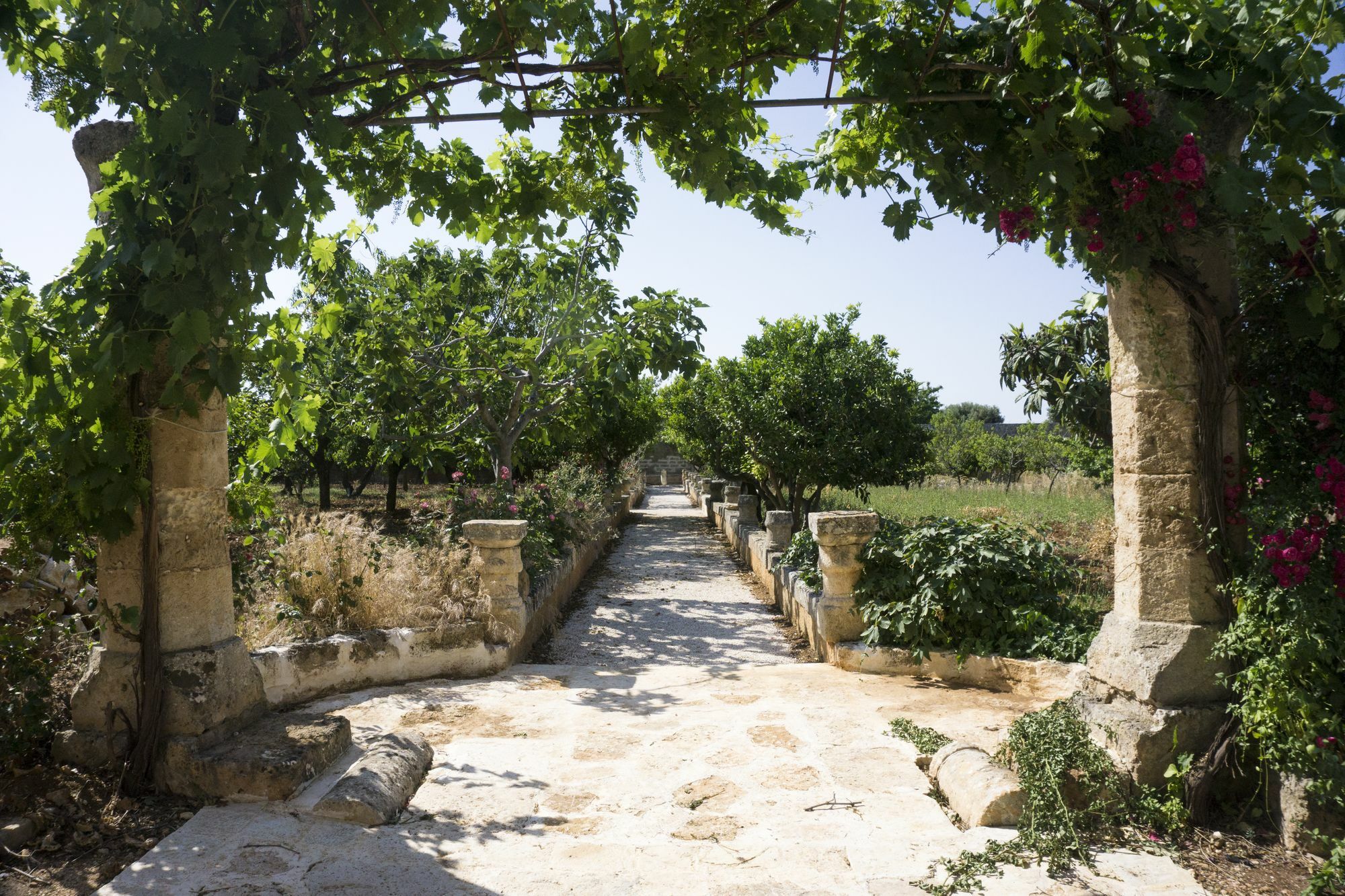 Masseria Capece เปซเซ ดิ เกรโก ภายนอก รูปภาพ